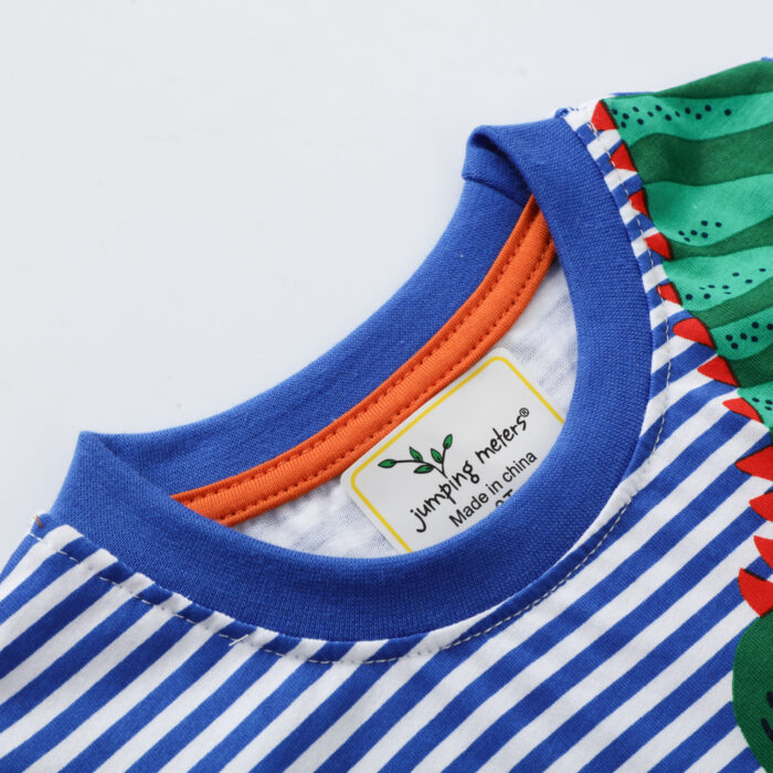 A happy little boy wearing a comfortable boys cotton dinosaur t shirt for everyday summer play.